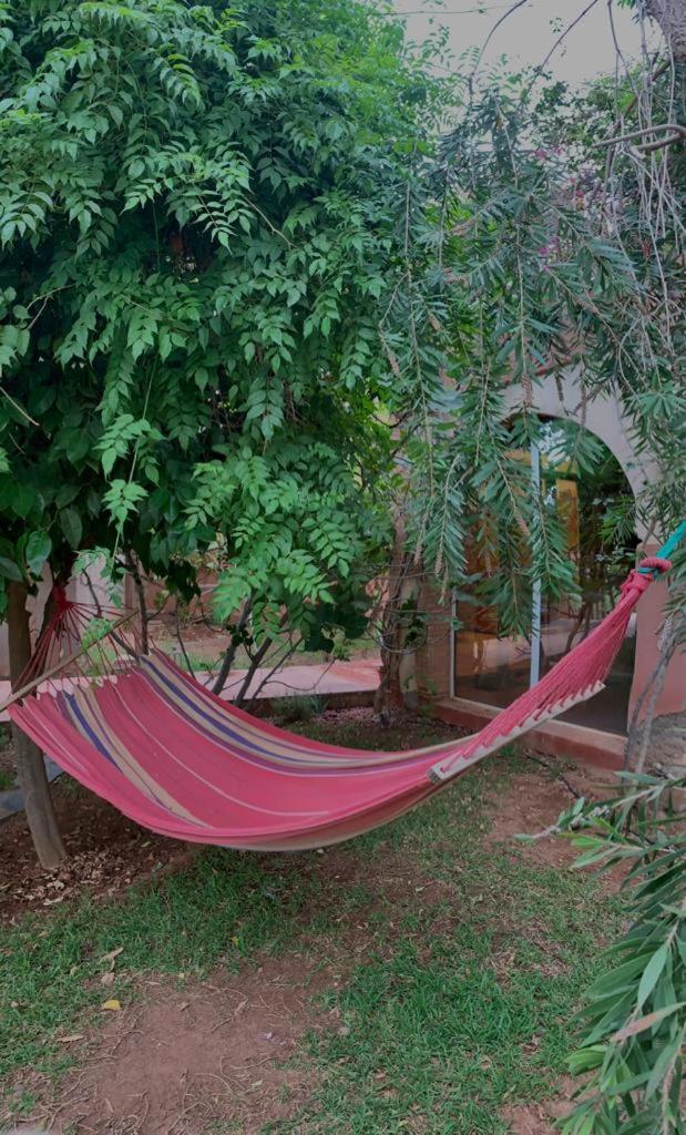 Villa Marrakech Raja Marrakesh Eksteriør bilde